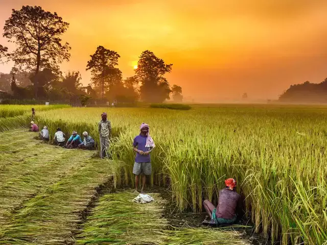Agriculture